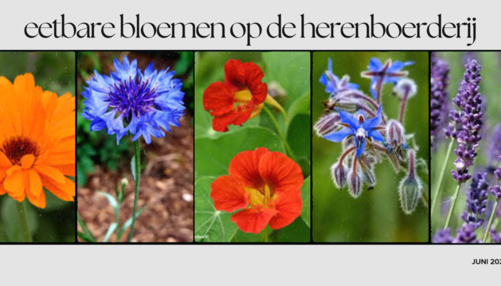 banner eetbare bloemen
