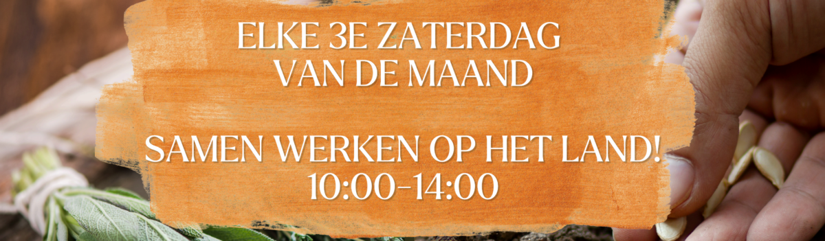 Meewerkdag