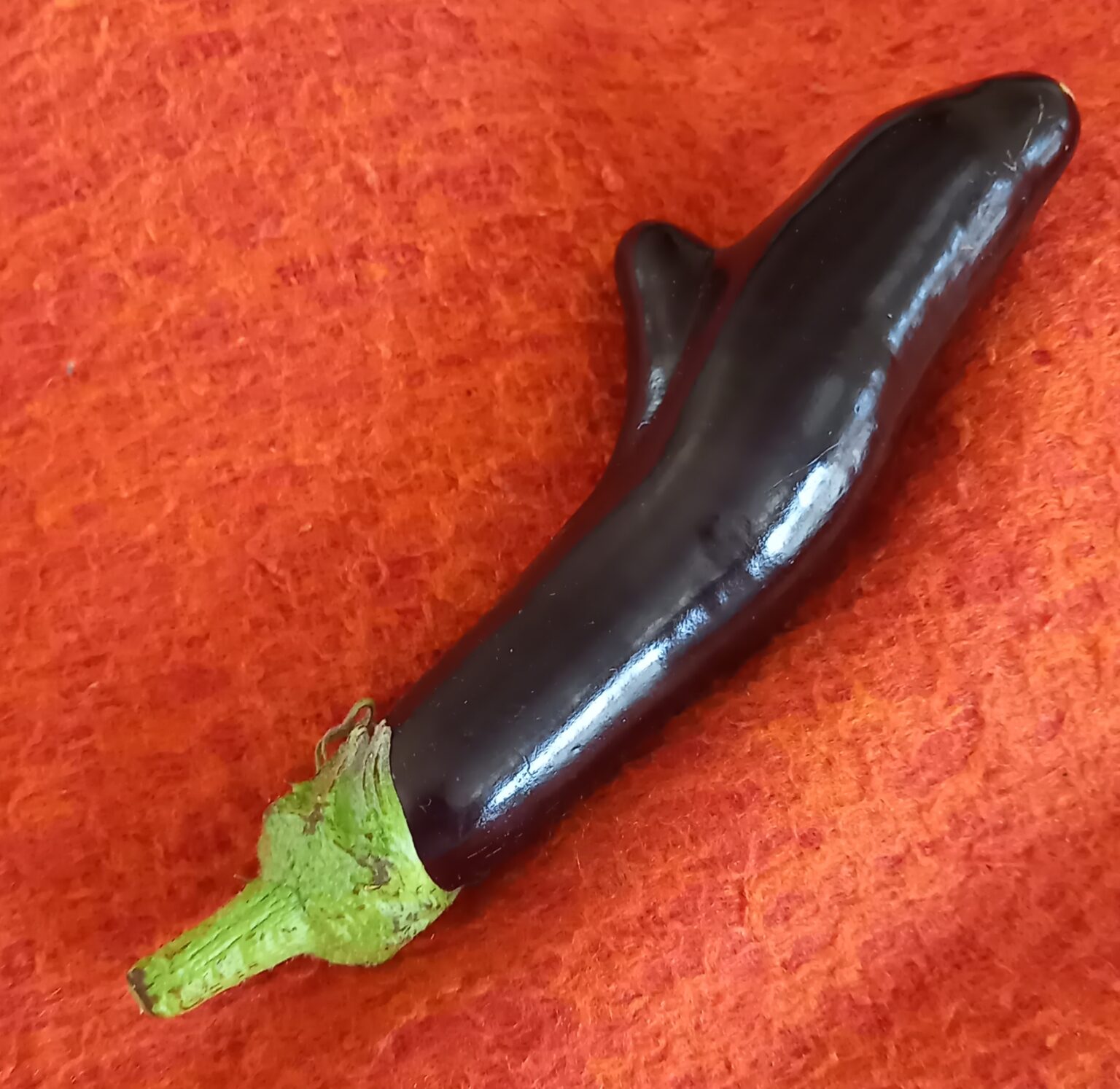 aubergine