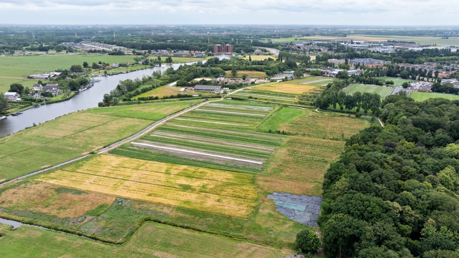 luchtfoto