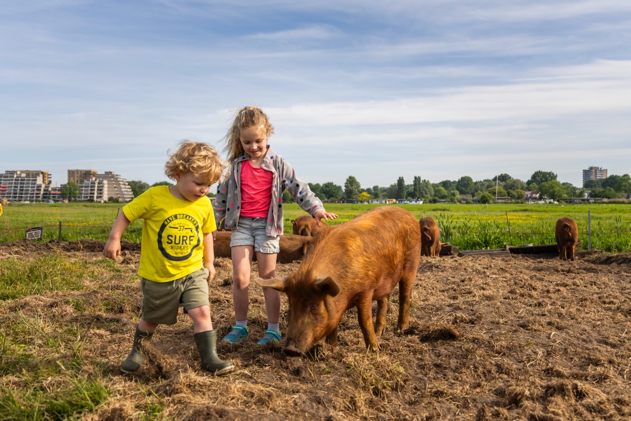 varken met kinderen