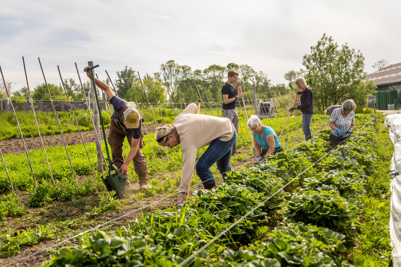 Een boer en leden van Herenboeren Heemstede werken samen op het land