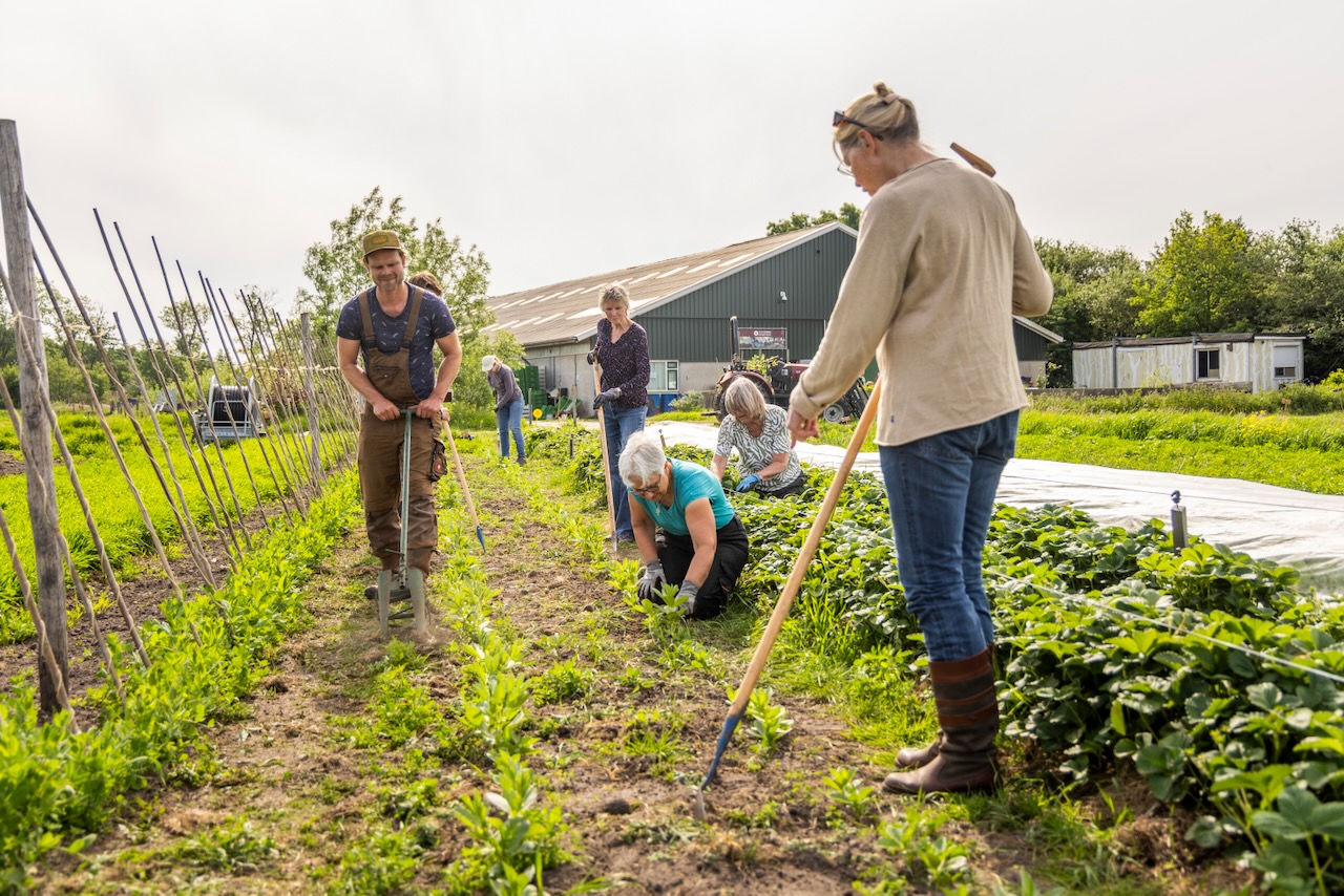 Een boer en leden van Herenboeren Heemstede aan het werk op het land