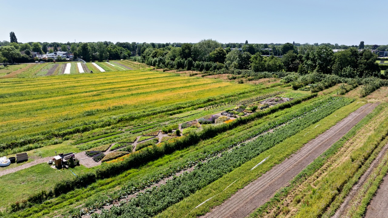 De landbouwgrond van Herenboeren Heemstede met de kruidentuin op de voorgrond