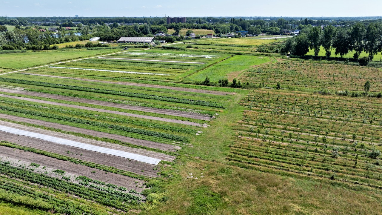 Overzicht van de landbouwgrond van Herenboeren Heemstede met rechts een deel van de boomgaard