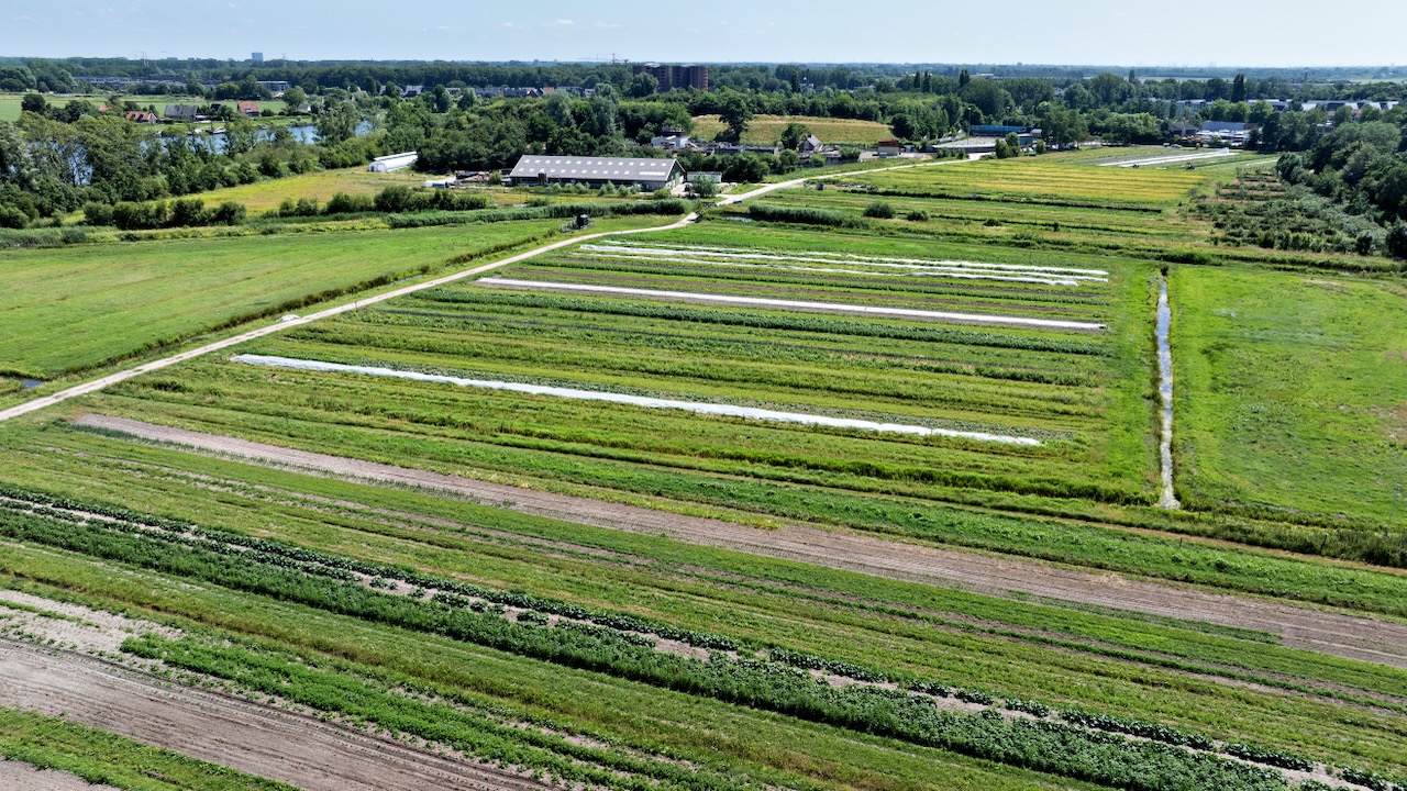 Overzicht van de landbouwgrond van Herenboeren Heemstede met de centrale schuur
