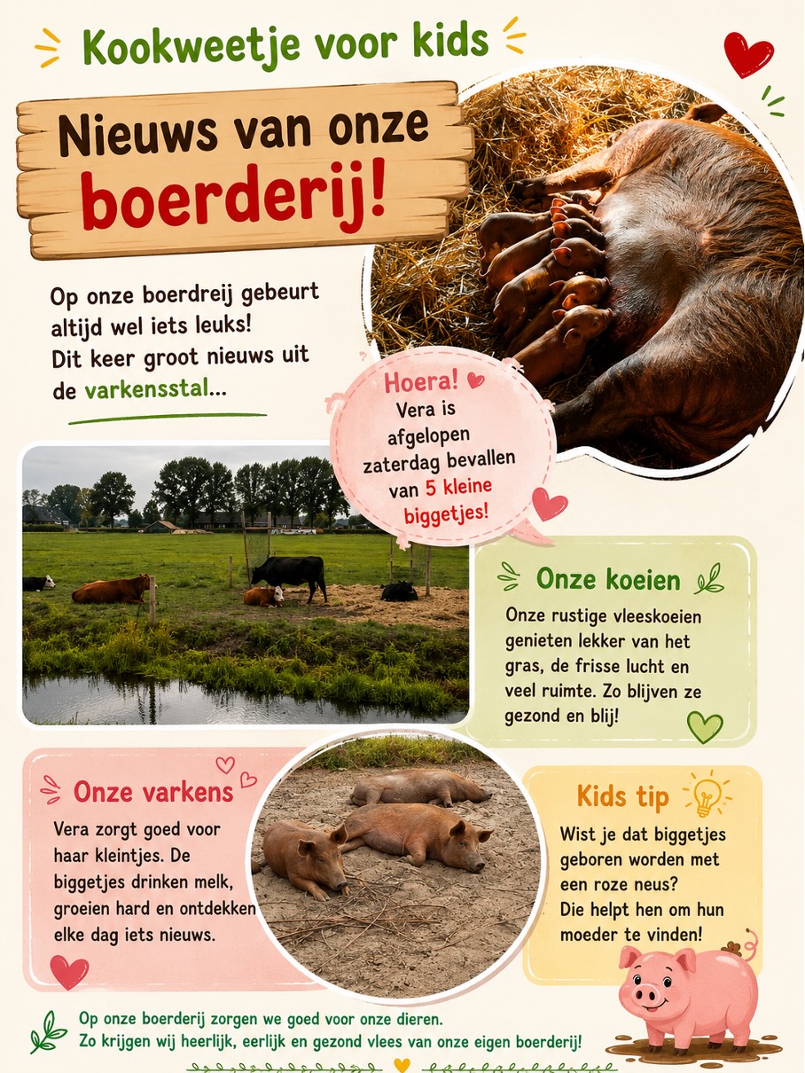 Afbeelding1