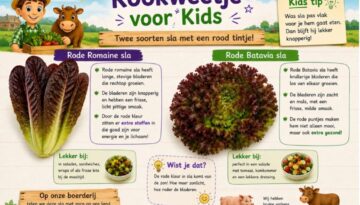 Twee soorten sla met een rood tintje