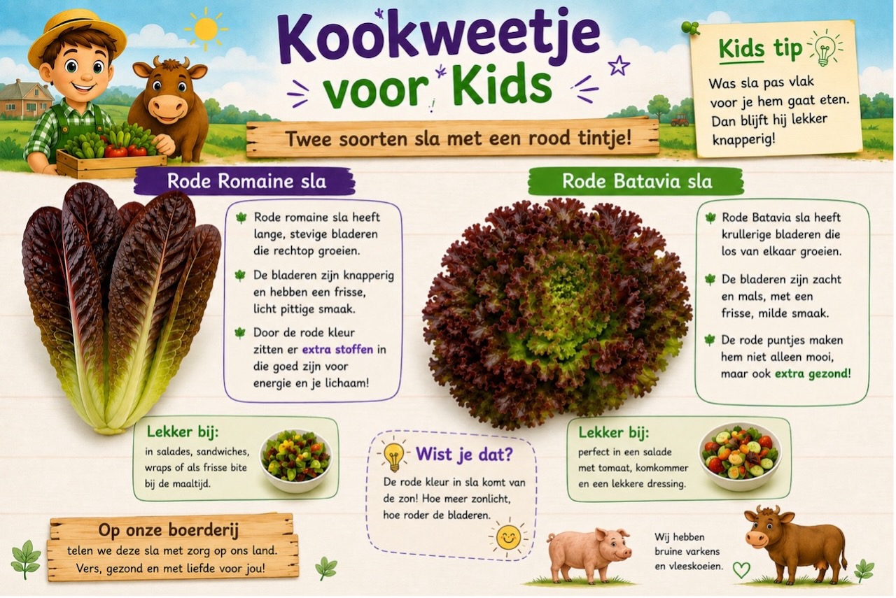 Twee soorten sla met een rood tintje