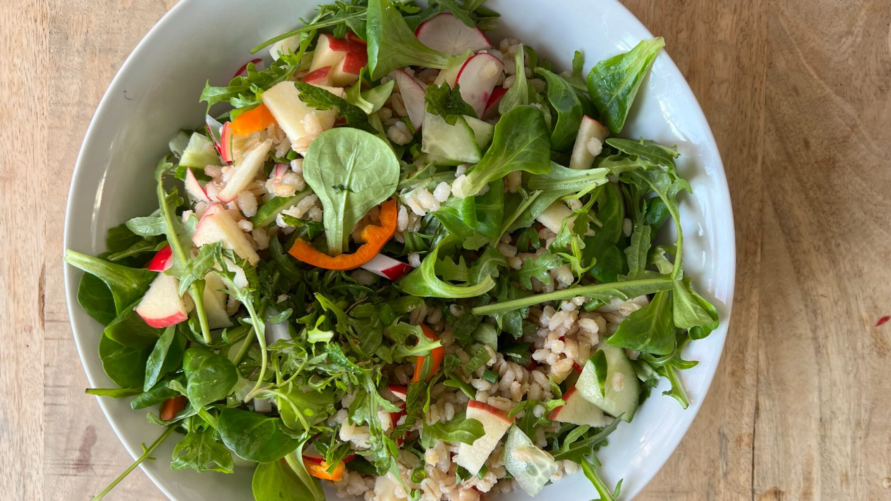 Lente salade met kruiden, radijs en parelgerst