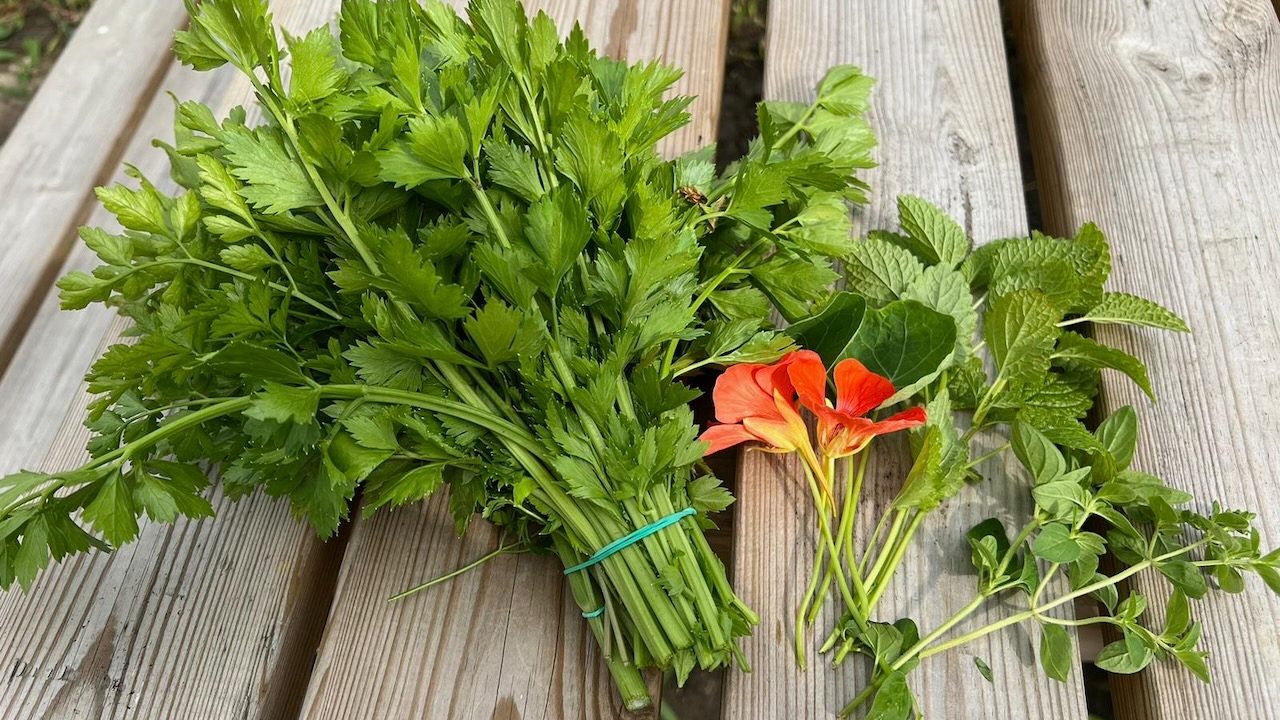 Zelf een bouillonblokje van kruiden maken