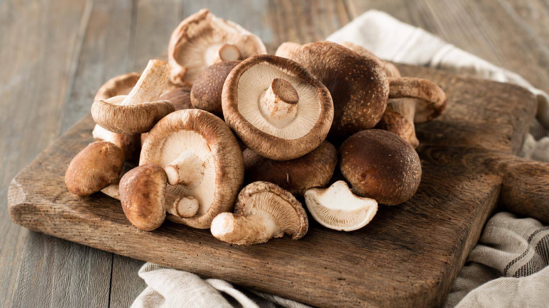Meer over shiitake