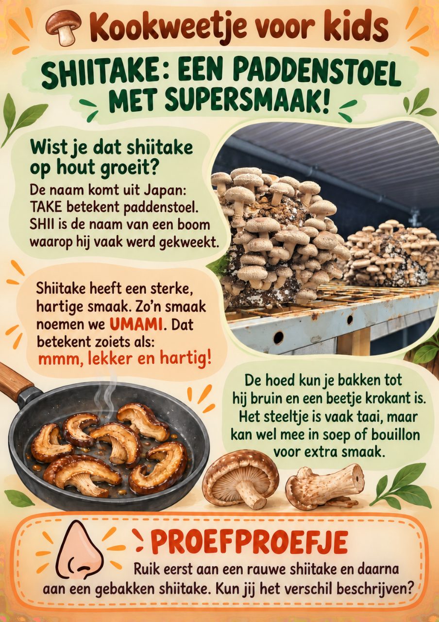 Praatplaat shiitake voor kids met weetjes over de paddenstoel die op hout groeit, de Japanse naam, umami en het proefproefje (AI-gegenereerde afbeelding)