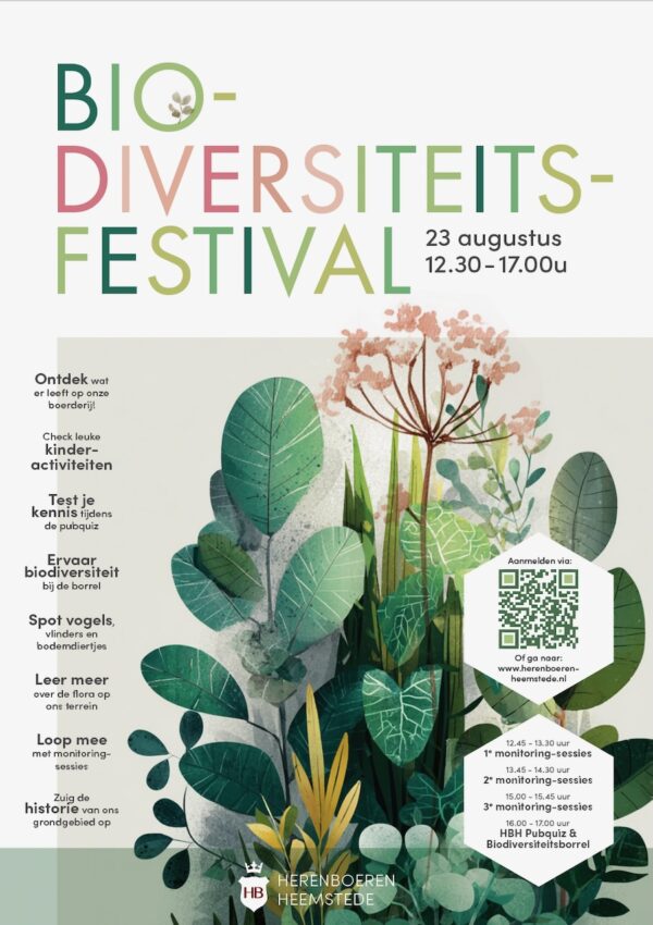 festival