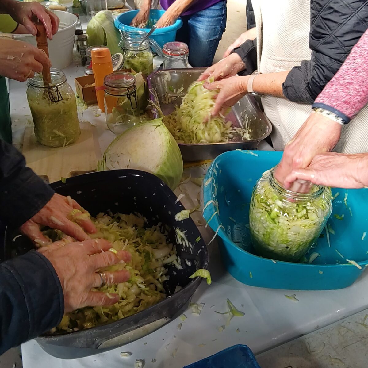 zuurkool maken