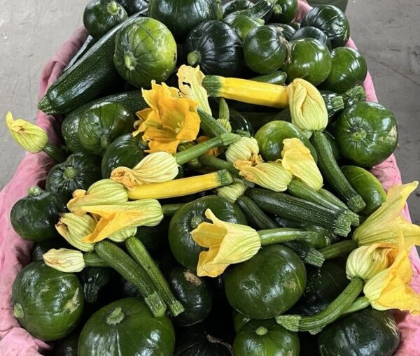 courgettes
