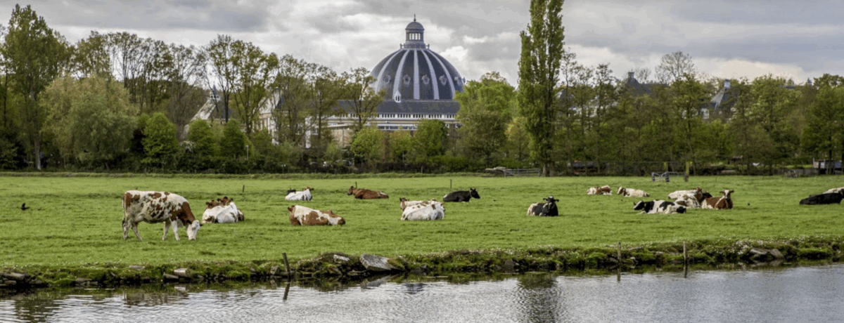t Groot Clooster beeld
