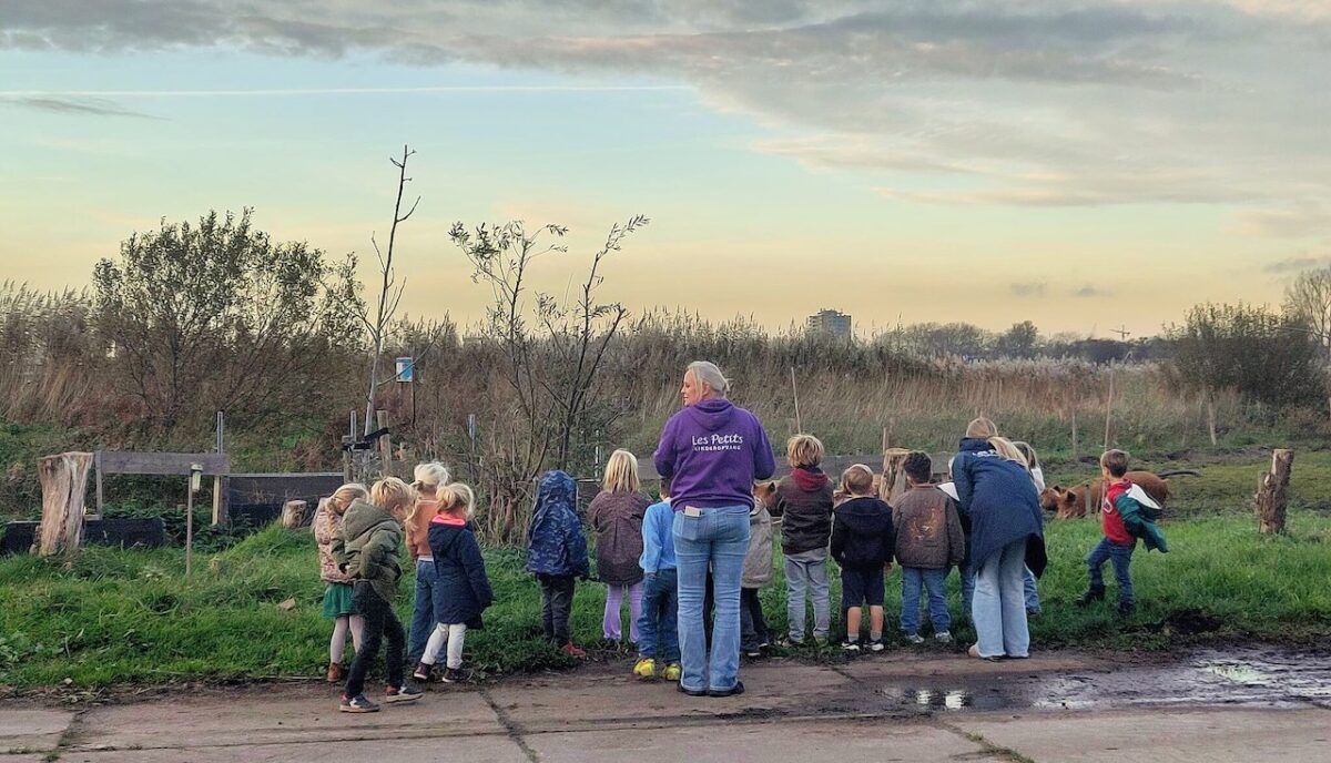 Les petits nieuw