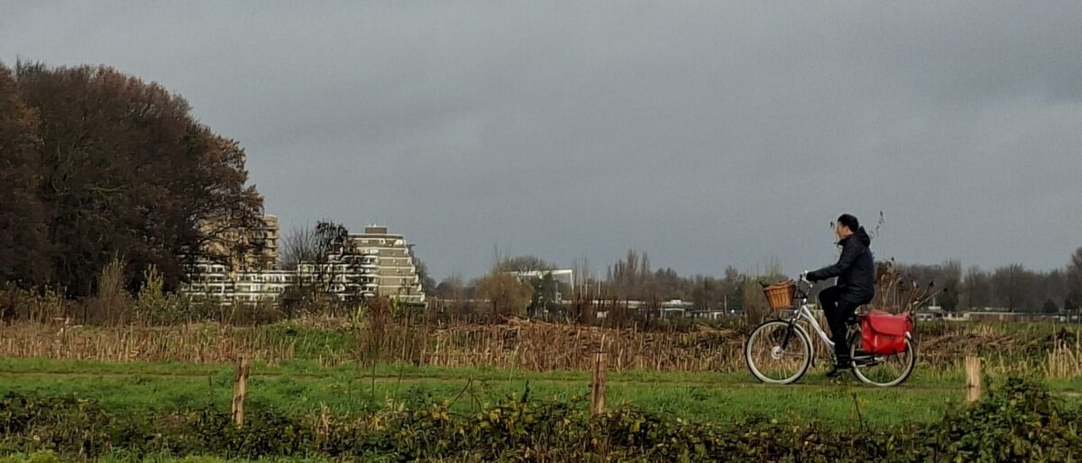 Fietsen op de dijk