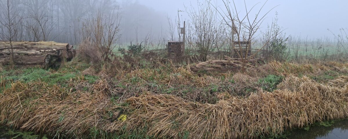 natuurril