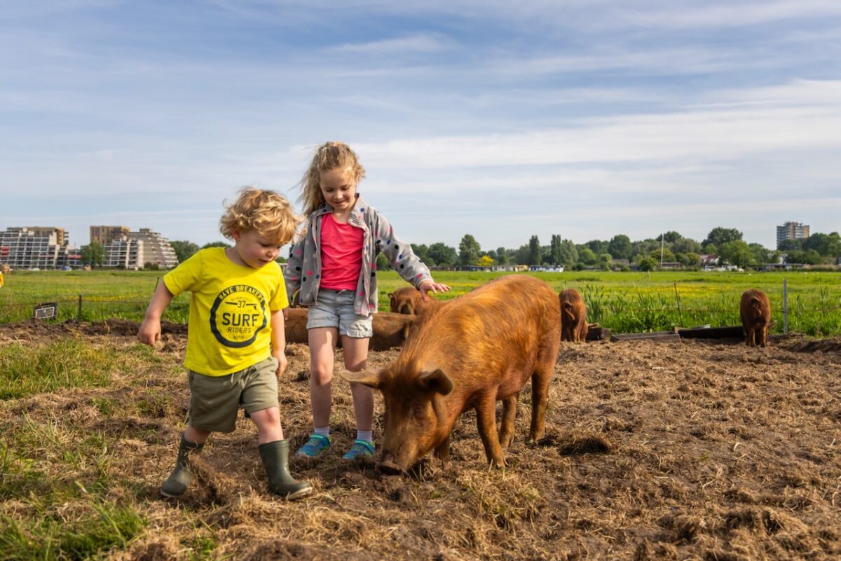 varken met kinderen