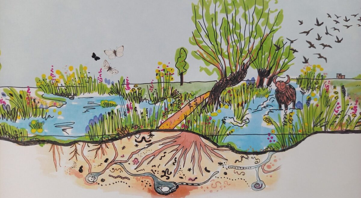 Beeld landschapsplan