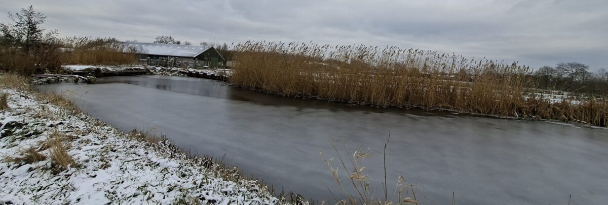 nog meer sneeuw