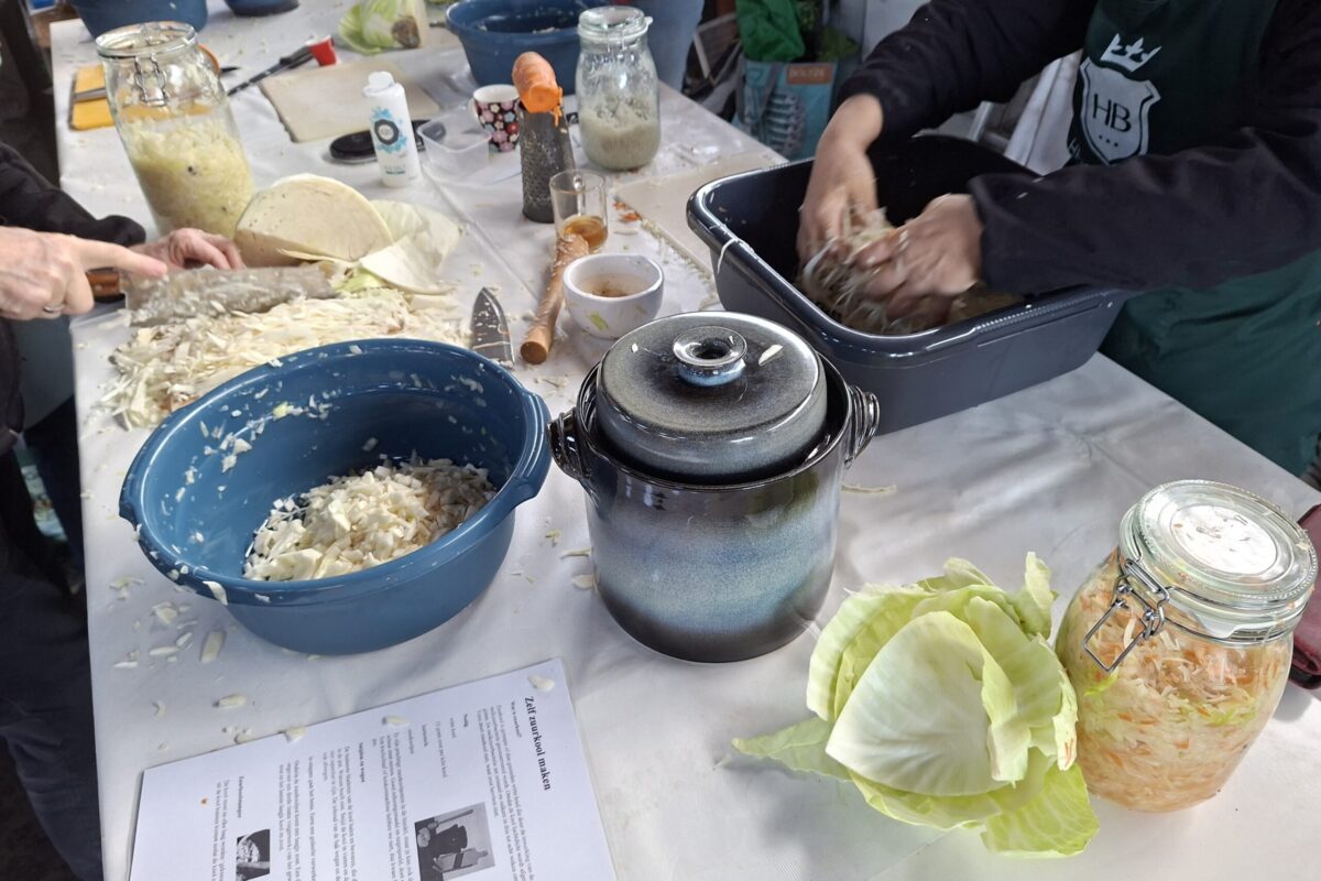 zuurkool maken 2