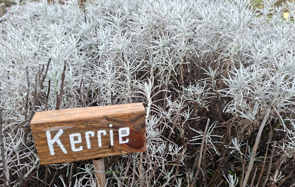 Kerrie