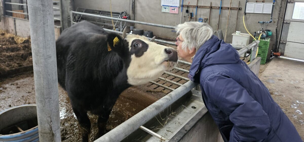 Echte liefde