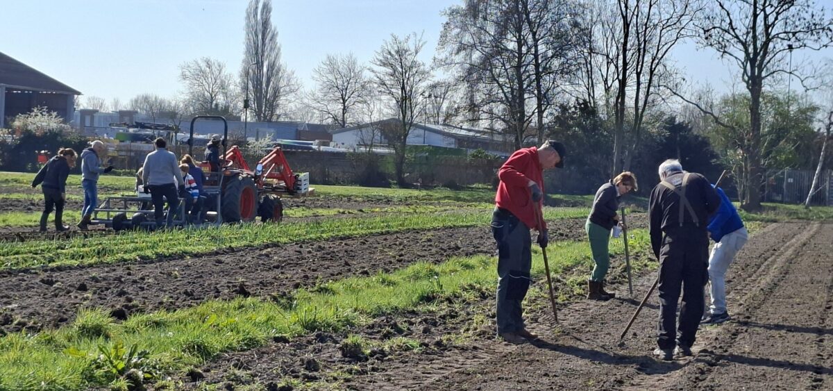 Meewerkdag trekker en zaaien