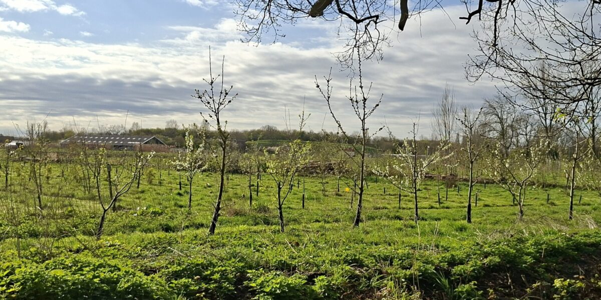 Zicht op de boerderij lente