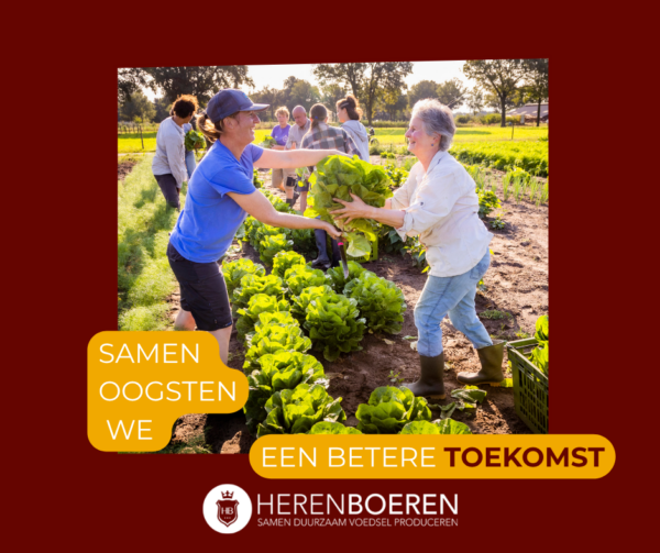 Campagne FB