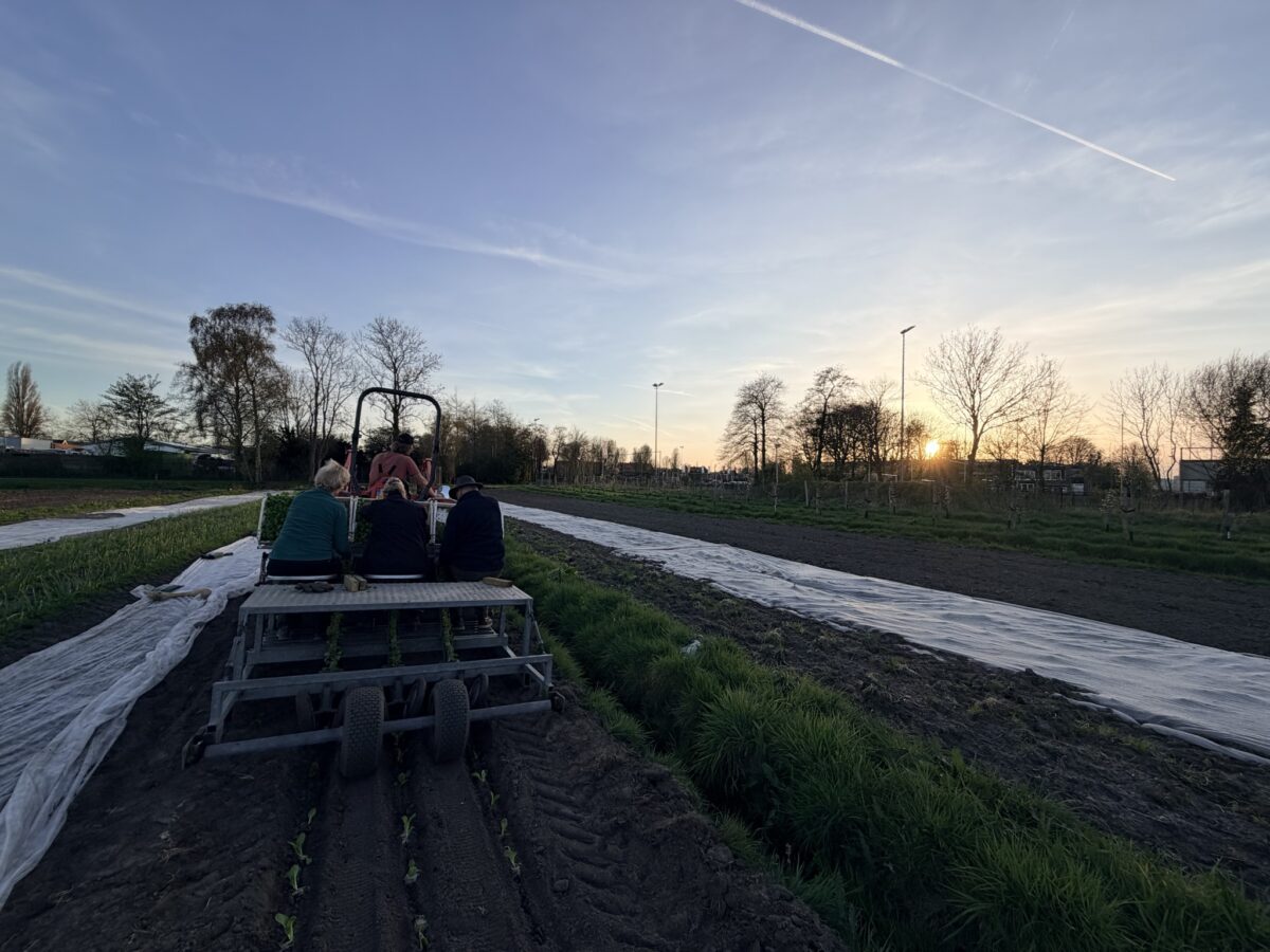 plorrelavond